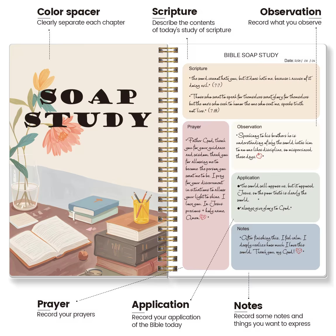 Daily Bible Study Journal 